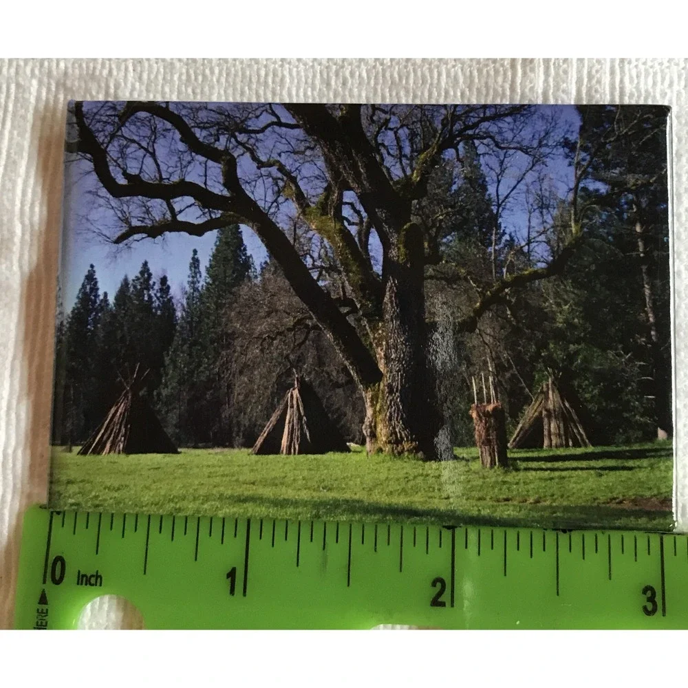 Collectible Photo Magnet Frank Balthis 2 x 3